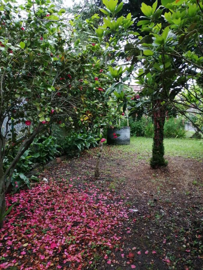 塞拉诺瓦A Casa Dos Avos别墅 外观 照片